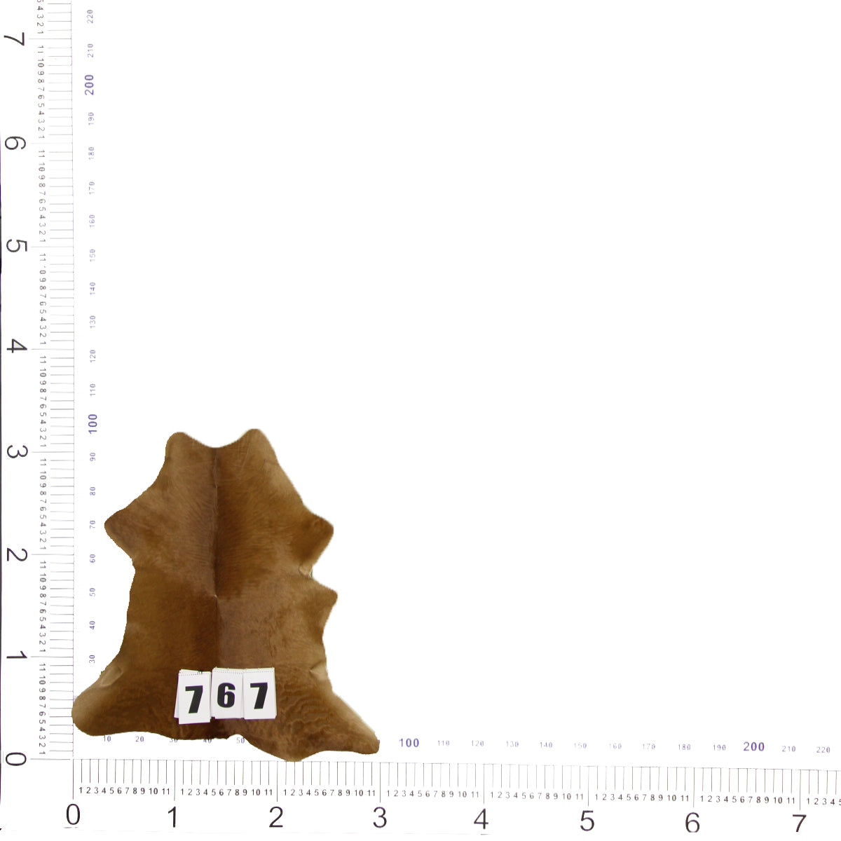 Brazilian Calf Skin