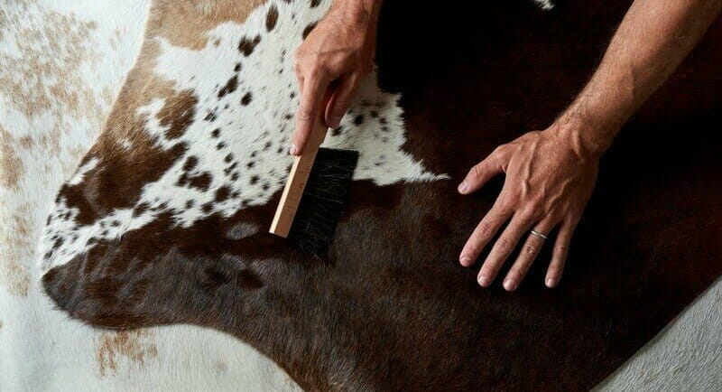 Care and Cleaning Guide for Brazilian Cowhide Rugs